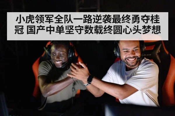 小虎领军全队一路逆袭最终勇夺桂冠 国产中单坚守数载终圆心头梦想